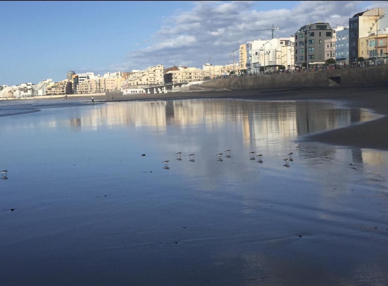 Las Canteras Beach Las Palmas de Gran Canaria Luaran gambar