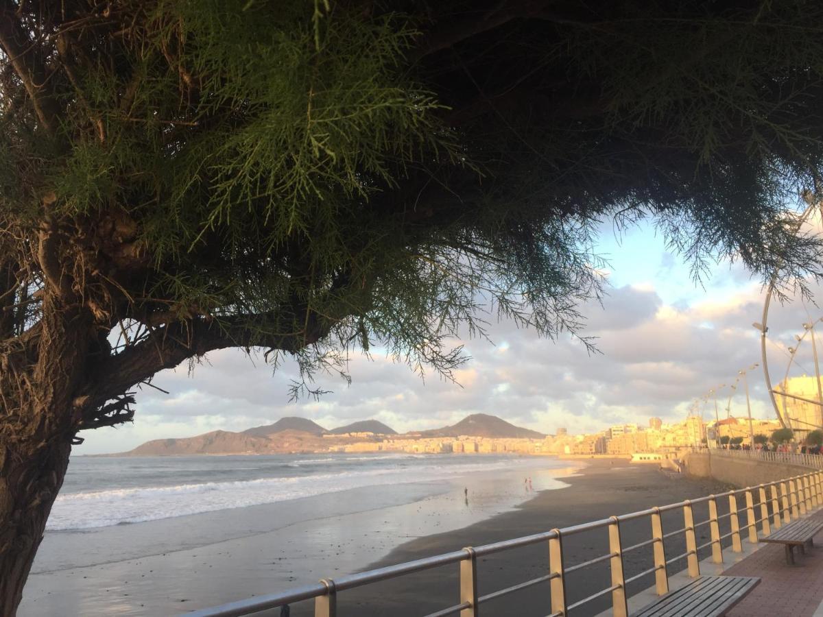 Las Canteras Beach Las Palmas de Gran Canaria Luaran gambar